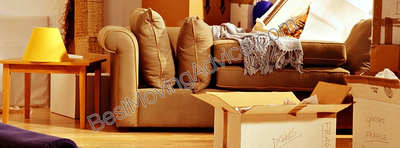 domestic removals company