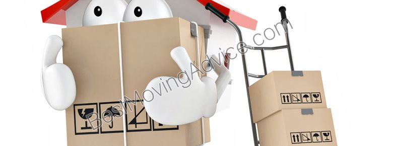 llc reasonable michigan movers