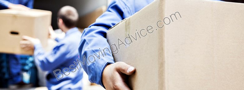 wolley movers