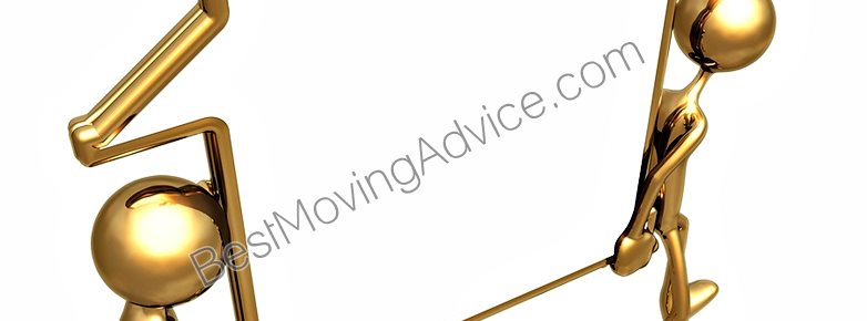 max movers ltd