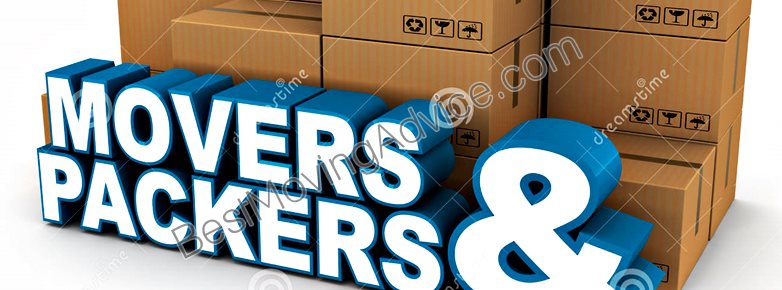 and packers express movers delhi