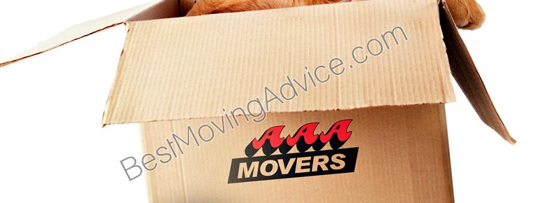 movers and movers