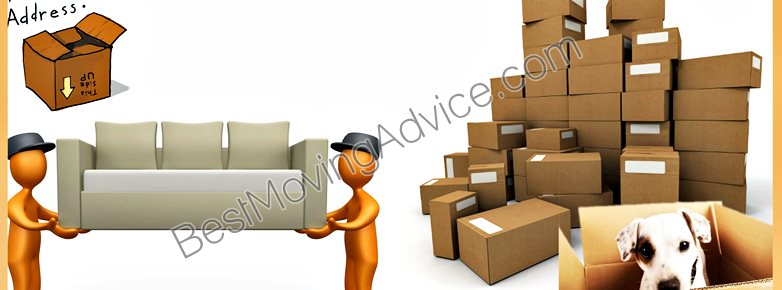 Furniture mover job description