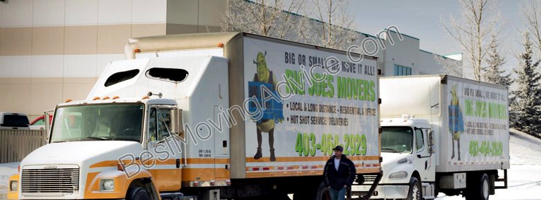 warren star movers mi white