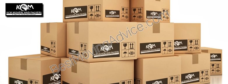 Domestic man van companies