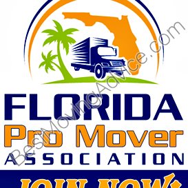 movers spring tx area