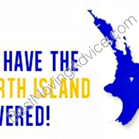 professional packers movers cochin
