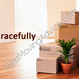 dependable pro movers