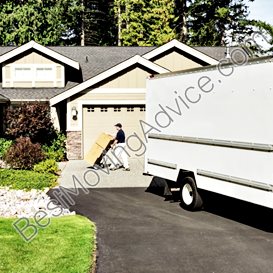 paradise movers