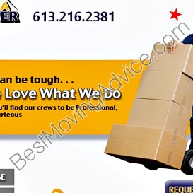 dolphin movers reviews