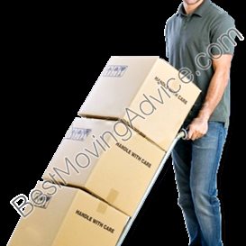 movers that will pack and store domestic