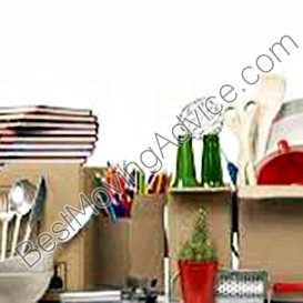 dog movers carrara