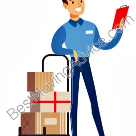 apollo international packers and movers