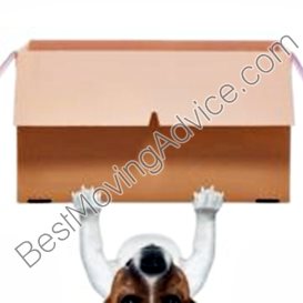 interstate movers insurance