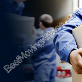 best movers from ny to fla