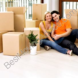 successful first mover companies in india