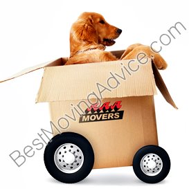 heavy equipment movers