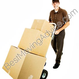 prime mover dc motor