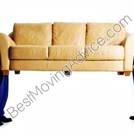 packers and movers website html templates free download
