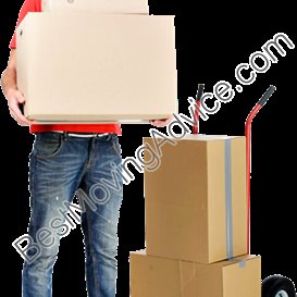 movers and shapers balham